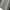 Japanese brand Vintage Streetwear Casual shirt Pria tan photo 5
