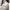 Casual Going out dress Wanita gray photo 5