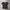 Adidas Sportswear Casual T-shirt Pria black photo 2