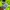 Nike Sportswear Jersey Pria green photo 4