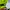 Nike Sportswear Jersey Pria green photo 5