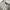 Pal Zileri Casual Formal pants Pria tan photo 3