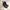 Dr. Martens Y2K Biker Boots Pria black photo 1
