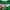 Sportswear Jersey Pria green photo 4
