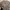 Streetwear Skater Sweatshirt Pria gray photo 5