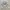 Vintage Y2K Hoody Pria gray photo 4