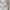 Avirex Vintage Y2K Hoody Pria gray photo 6