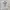 Avirex Vintage Y2K Hoody Pria gray photo 1