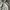 Carhartt Luxury Futurist Bomber jacket Pria gray photo 4