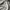 Carhartt Luxury Futurist Bomber jacket Pria gray photo 1