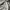 Carhartt Luxury Futurist Bomber Jacket Pria Gray