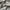Carhartt Luxury Futurist Bomber jacket Pria gray photo 2