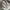 Carhartt Luxury Futurist Bomber jacket Pria gray photo 3