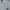 COMME des GARÇONS Casual Polo shirt Pria gray photo 2