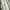 Converse Vintage Streetwear Bag Pria white black photo 4