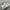 Converse Vintage Streetwear Bag Pria White Black