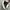Converse Vintage Streetwear Bag Pria white black photo 7