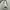 Converse Vintage Streetwear Bag Pria white black photo 6