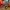 Gorpcore Windbreaker Pria orange photo 6