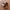 New Balance Streetwear Sneakers Pria brown photo 6