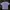 Streetwear T-shirt Pria White