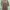 Futurist Muslim Fleece Wanita tan photo 1