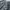Levi's Streetwear Casual Jeans Pria gray photo 6