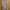 Tokyo Blouse Minimalist Casual Sweater Wanita tan cream photo 2
