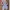 Streetwear Jumpsuit Wanita blue photo 1