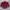 Casual Track Jacket Pria Red