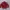 Casual Track jacket Pria red photo 1