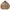 Converse Vintage Bomber Jacket Pria Brown