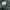 EDWIN Vintage Streetwear T-shirt Pria gray photo 7