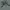 EDWIN Vintage Streetwear T-shirt Pria gray photo 4