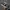 New Balance Streetwear Casual Casual shoe Pria white black photo 1