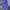Ellesse Sportswear Wanita purple blue photo 3