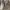 Adidas Original Tubular Radial Brand New photo 4