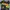 Adidas Y2K Sportswear Jersey Pria green black photo 1