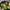 Adidas Y2K Sportswear Jersey Pria green black photo 4