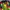 Adidas Y2K Sportswear Jersey Pria green black photo 3