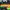 Adidas Y2K Sportswear Jersey Pria green black photo 2