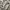 Adidas Streetwear Sportswear Sneakers Pria white green photo 4