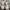 Adidas Streetwear Sportswear Sneakers Pria white green photo 3