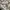 Adidas Streetwear Sportswear Sneakers Pria white green photo 1