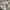 Adidas Streetwear Sportswear Sneakers Pria White Green