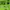 Nike Sportswear Polo shirt Pria green photo 4
