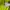 Nike Sportswear Polo shirt Pria green photo 7
