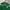Adidas Sportswear Jersey Wanita green photo 3