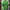 Adidas Vintage Casual T-shirt Pria green photo 1
