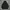 The North Face Vintage Gorpcore Windbreaker Pria Black